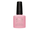 CND SHELLAC Blush Teddy 7,3ml
